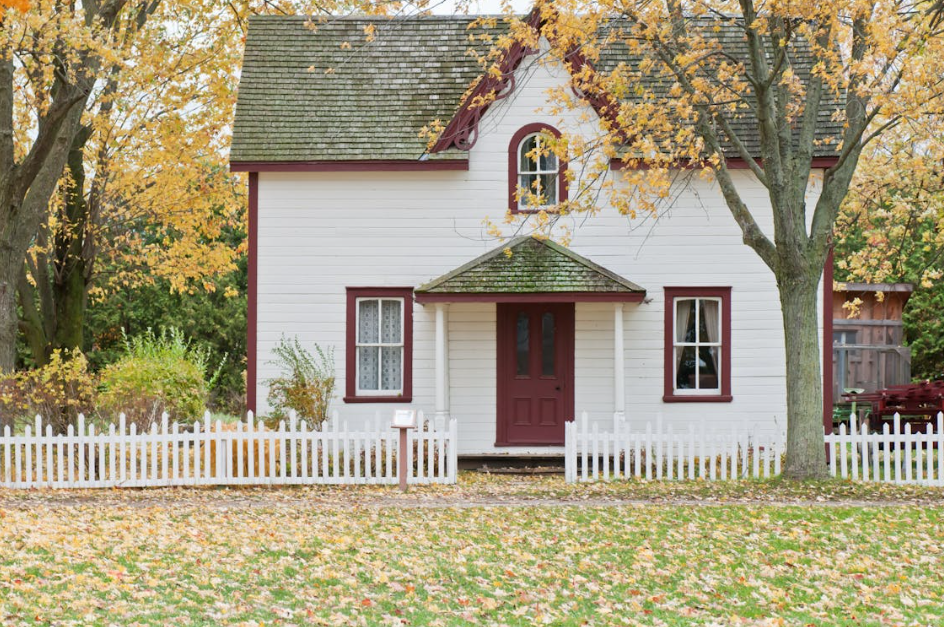 Understanding the Maximum Height of Trees Near Houses UK Legal Limits and Practical Advice