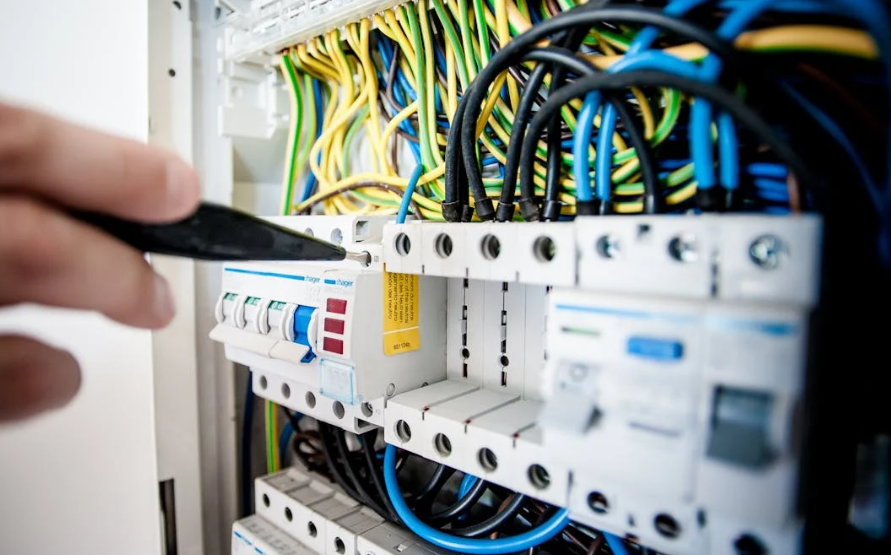 Electrician or Plumber with an Established Business