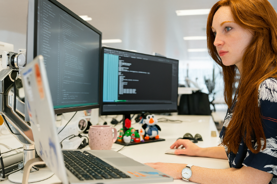 1. software engineer
